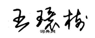 朱錫榮王環樹草書個性簽名怎么寫