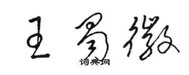 駱恆光王蜀徽草書個性簽名怎么寫