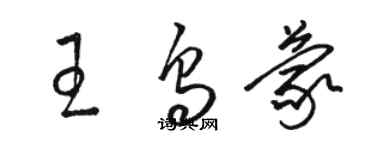 駱恆光王烏蒙草書個性簽名怎么寫