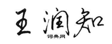 駱恆光王潤知行書個性簽名怎么寫