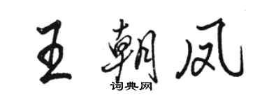 駱恆光王朝鳳行書個性簽名怎么寫