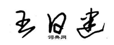 朱錫榮王日建草書個性簽名怎么寫