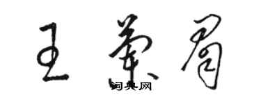 駱恆光王蘭眉草書個性簽名怎么寫