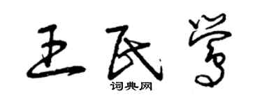 曾慶福王民鶯草書個性簽名怎么寫