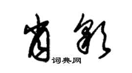 朱錫榮肖彩草書個性簽名怎么寫