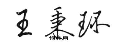 駱恆光王秉環行書個性簽名怎么寫