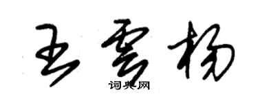 朱錫榮王雲楊草書個性簽名怎么寫