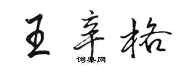 駱恆光王辛格行書個性簽名怎么寫
