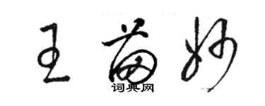 駱恆光王苗妙草書個性簽名怎么寫