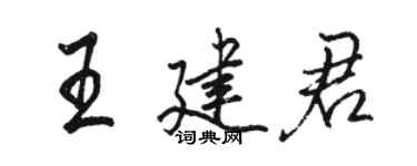 駱恆光王建君行書個性簽名怎么寫