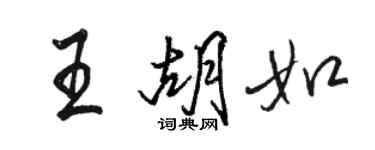 駱恆光王胡如行書個性簽名怎么寫
