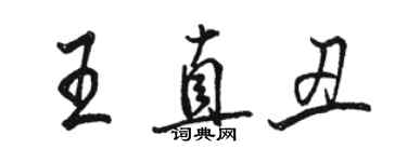 駱恆光王直醜行書個性簽名怎么寫