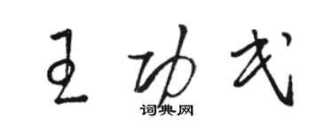 駱恆光王功民草書個性簽名怎么寫