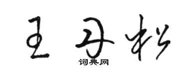 駱恆光王丹松草書個性簽名怎么寫