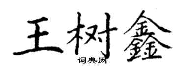 丁謙王樹鑫楷書個性簽名怎么寫