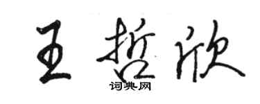 駱恆光王哲欣行書個性簽名怎么寫