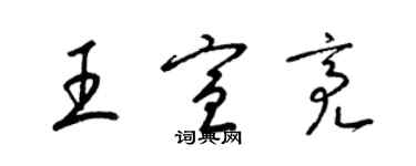 梁錦英王宣亮草書個性簽名怎么寫