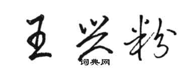 駱恆光王興粉行書個性簽名怎么寫