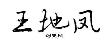 曾慶福王地鳳行書個性簽名怎么寫