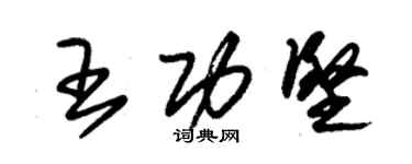 朱錫榮王功堅草書個性簽名怎么寫