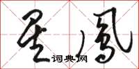 駱恆光星鳳草書怎么寫