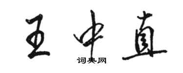 駱恆光王中直行書個性簽名怎么寫