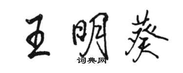 駱恆光王明葵行書個性簽名怎么寫