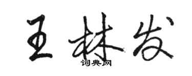 駱恆光王林發行書個性簽名怎么寫