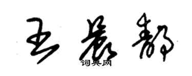 朱錫榮王晨靜草書個性簽名怎么寫