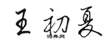 駱恆光王初夏行書個性簽名怎么寫