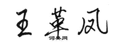 駱恆光王革鳳行書個性簽名怎么寫