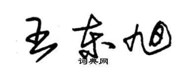 朱錫榮王東旭草書個性簽名怎么寫