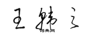 駱恆光王韓之草書個性簽名怎么寫