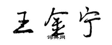 曾慶福王金寧行書個性簽名怎么寫