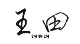 駱恆光王田行書個性簽名怎么寫