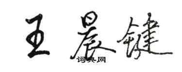 駱恆光王晨鍵行書個性簽名怎么寫