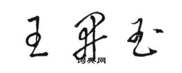 駱恆光王開玉草書個性簽名怎么寫