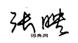 朱錫榮張映草書個性簽名怎么寫