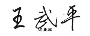 駱恆光王武平行書個性簽名怎么寫