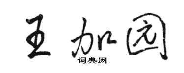 駱恆光王加園行書個性簽名怎么寫