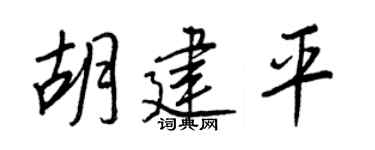 王正良胡建平行書個性簽名怎么寫