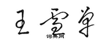 駱恆光王雪單草書個性簽名怎么寫