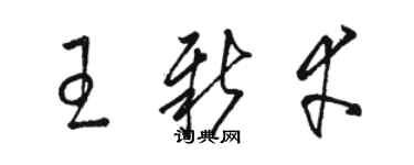 駱恆光王新幸草書個性簽名怎么寫