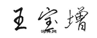 駱恆光王寶增行書個性簽名怎么寫