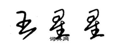 朱錫榮王星星草書個性簽名怎么寫