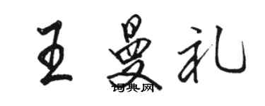 駱恆光王曼禮行書個性簽名怎么寫