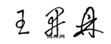 駱恆光王開鼎草書個性簽名怎么寫