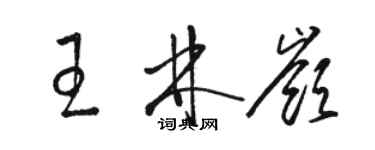 駱恆光王林嶺草書個性簽名怎么寫