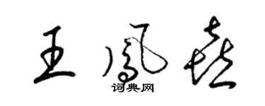 梁錦英王鳳喜草書個性簽名怎么寫