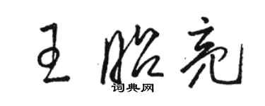 駱恆光王昭亮草書個性簽名怎么寫